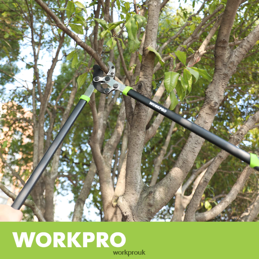 WORKPROAnvil Lopper, 32 Inch Branch Cutter with Compound Action, Heavy Duty Garden Tree Trimmer X662Z282 Tool