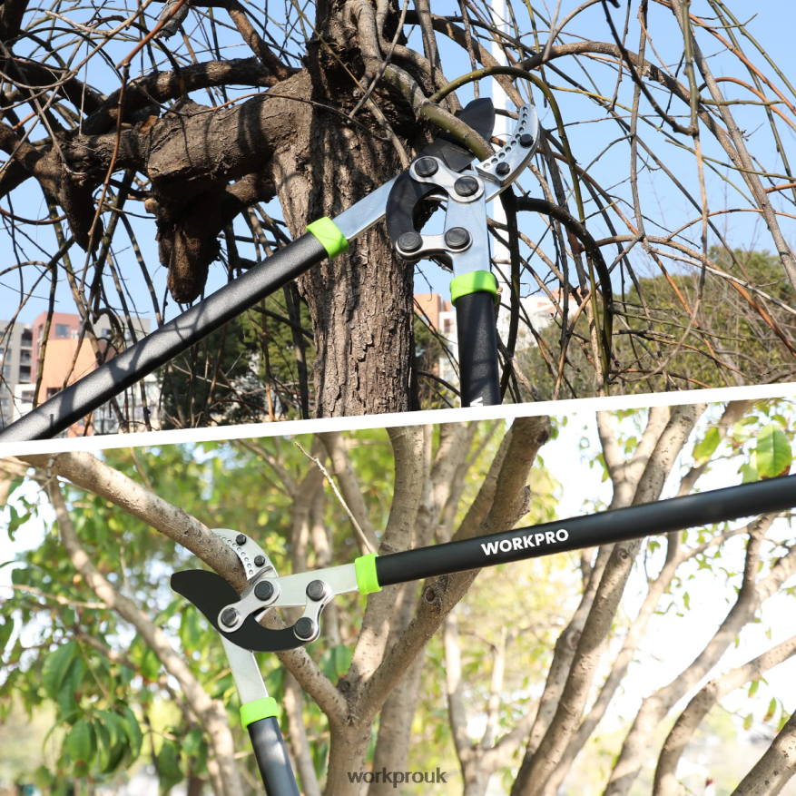 WORKPROAnvil Lopper, 32 Inch Branch Cutter with Compound Action, Heavy Duty Garden Tree Trimmer X662Z282 Tool