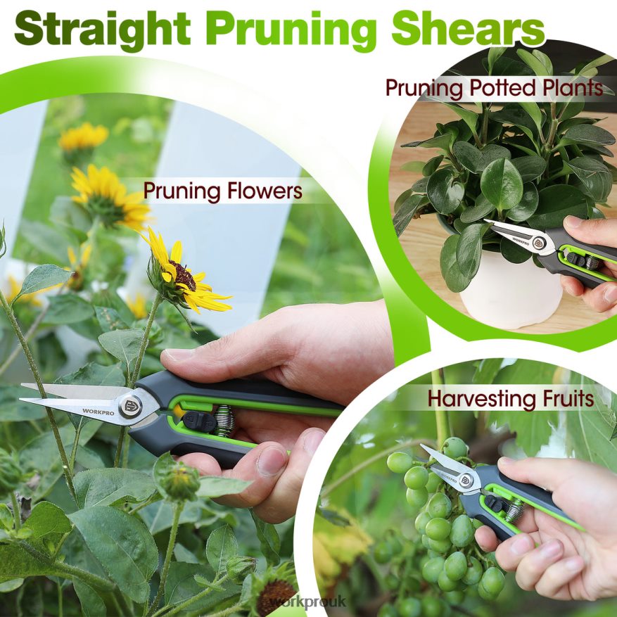 WORKPROGarden Pruning Shears 2 Pack, Bypass Pruning Shears and Straight Garden Scissors X662Z280 Tool