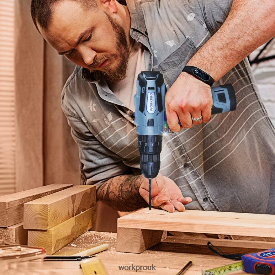 WORKPRO12V 2-Speed Cordless Drill Driver Kit, 2 Li-Ion Batteries 2000 mAh and Fast Charger X662Z168 Tool
