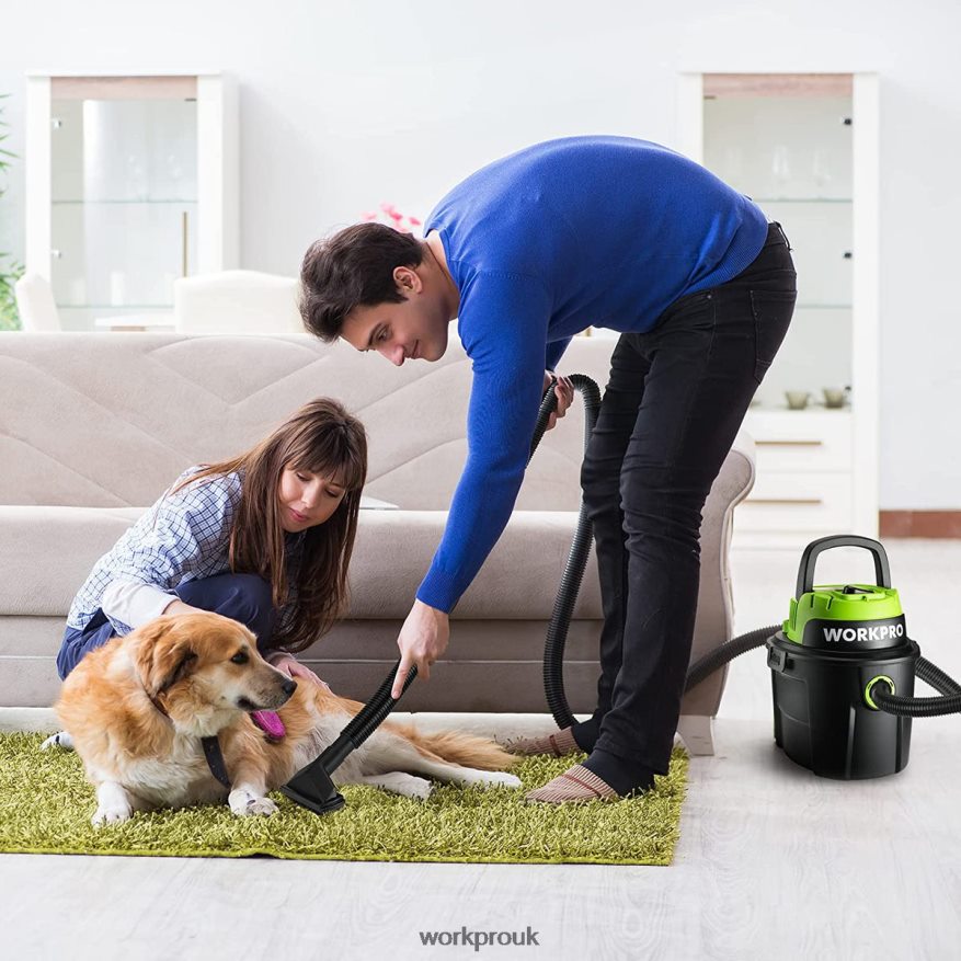 WORKPROWet/Dry Vacuum 2.5 Gallon 3 Peak Horsepower, Portable Shop Vacuum Cleaner for Home X662Z216 Tool